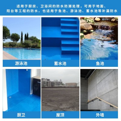 双虹厨卫王防水涂料 多种添加剂组成的有机液料防水防潮粘结强